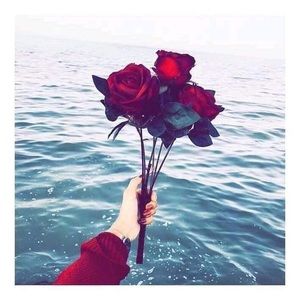 Meet your Posher, Ellaha